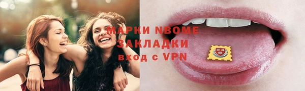 гидра Надым
