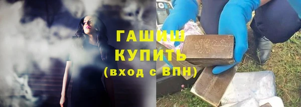 гидра Надым