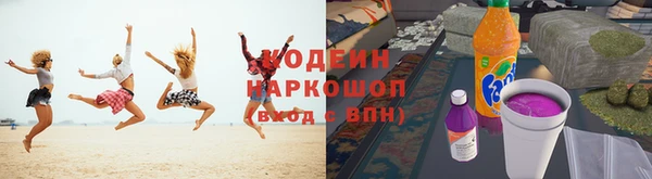 гидра Надым