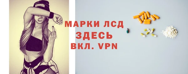 гидра Надым