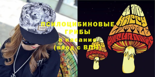 гидра Надым