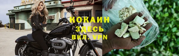 гидра Надым
