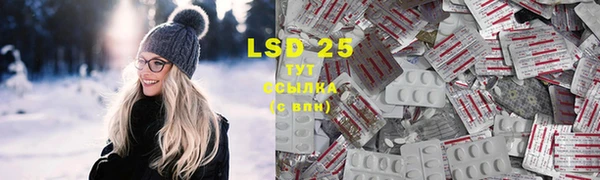 гидра Надым