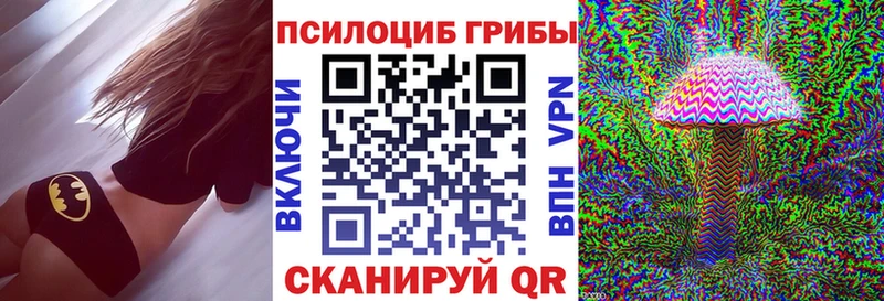 хочу наркоту  Отрадный  Псилоцибиновые грибы Psilocybine cubensis 